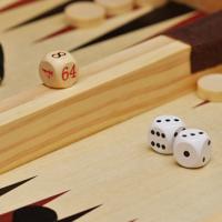 Backgammon game pieces